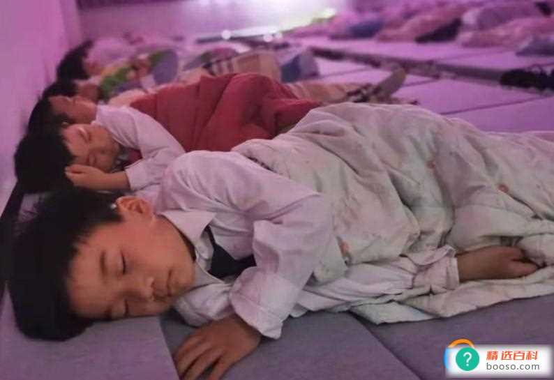 代表建议在中小学推行趴睡变躺睡(张琼丽对我国提一建议中小学能够改变睡觉的姿势)