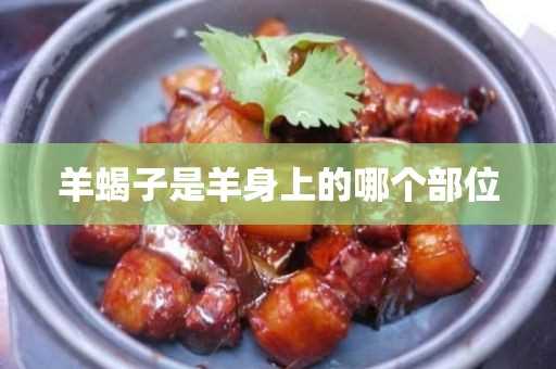 羊蝎子是羊身上什么部位?羊蝎子是羊身上的哪个部位