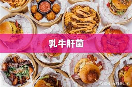 乳牛肝菌的作用与功效_乳牛肝菌