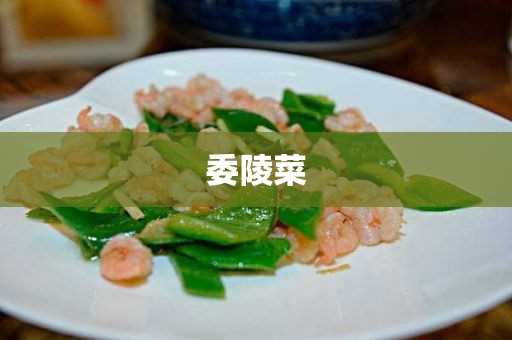 委陵菜的作用与功效_肺心草图片功效和作用_委陵菜