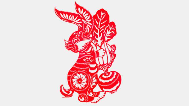 兔子和猪属相合不合_兔子和猪属相合不合财