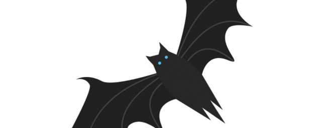 蝙字的组词和拼音是什么(蝙字的组词)?