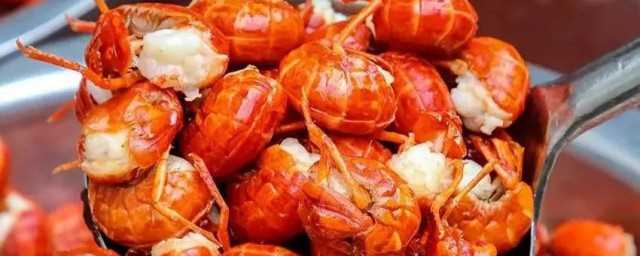 醉里挑灯看剑梦回吹角连营出自哪首诗?醉里挑灯看剑梦回吹角连营是什么意思