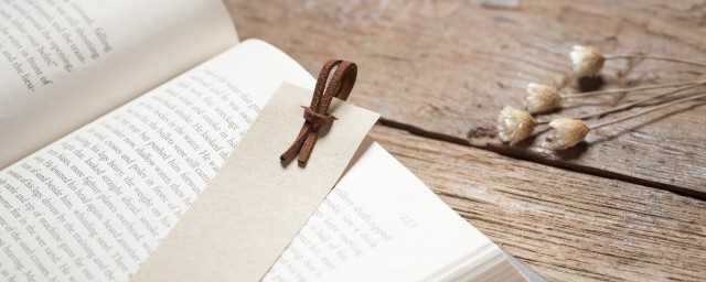 琐记的主要内容20字_琐记的主要内容概括