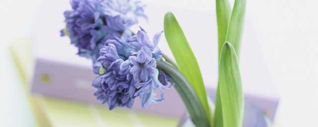 彻的拼音怎么读?彻的拼音怎么写