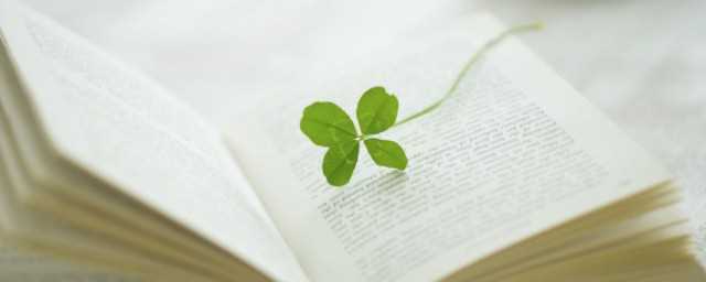 疲劳不堪的堪字是什么意思?疲惫不堪中的堪的意思