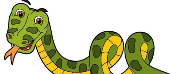 蝰蛇是什么蛇?蝰蛇是什么意思