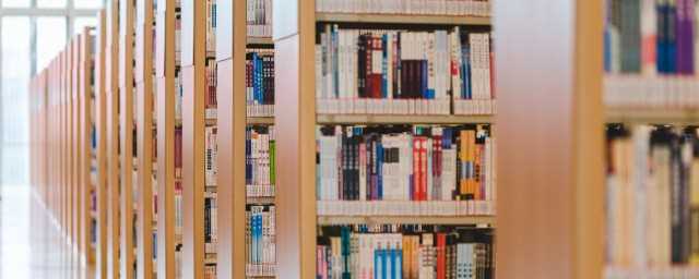 若言什么意思(若言什么意思是什么)?