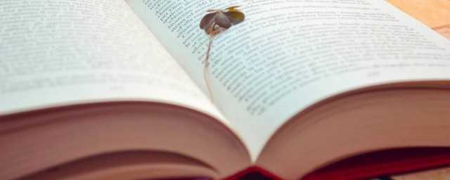 大雾漫天什么意思?(大雾弥漫的意思)?