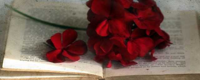 什么是视觉滞留效应(什么是视觉暂留原理)?