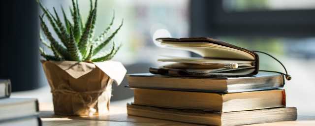 堤拼音组词?堤拼音怎么读