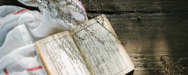 芪怎么读拼音是什么字?黄芪