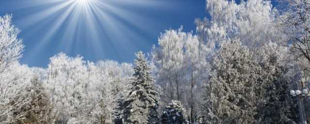 冬日暖阳的意思是什么?冬日暖阳的意思