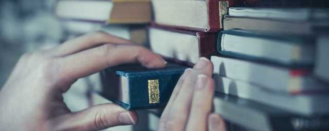 一枝独秀是什么意思解释词语?一枝独秀是词语吗?