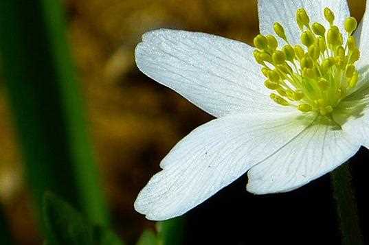 合肥有名气的学动漫游戏设计怎么样推荐排行?