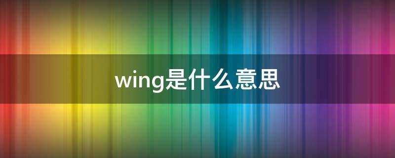 wing是什么意思英语(wings是什么意思)?