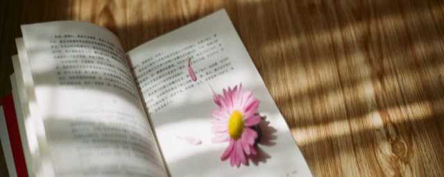 专项啥意思(什么叫专项)?