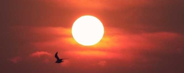 太阳像什么写一个句子?红红的太阳像什么写句