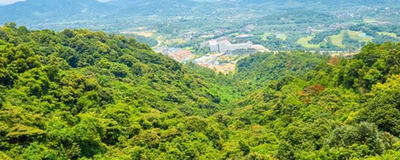 罗浮山在哪里?罗浮山在哪个省?(罗浮山在哪)