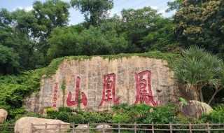 深圳南山公园景点介绍?深圳南山公园有什么景点(深圳南山公园)