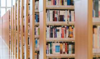 后起之秀是什么意思（后起之秀是什么意思?）?(后起之秀)