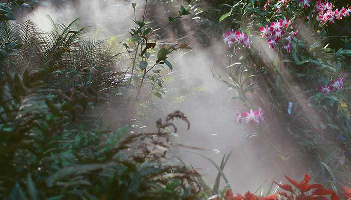 万石植物园的位置?万石植物园在哪里?(厦门万石植物园)