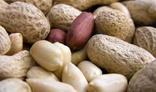 盘点陕西的特产?陕西的特产有什么(陕西特产)