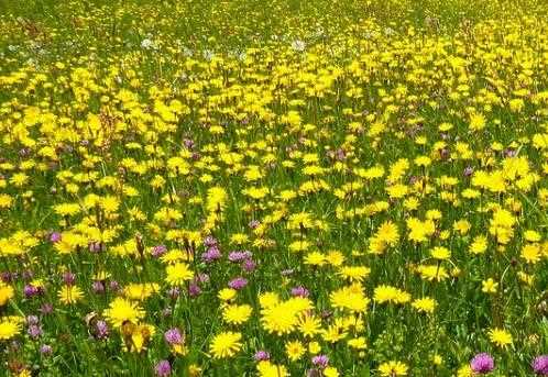 2022福州排名靠前的培训育婴师的机构网友推荐