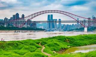 重庆朝天门大桥介绍_重庆朝天门大桥简介(朝天门大桥)