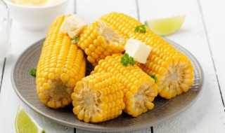 玉米的简介?中国哪个朝代的人能吃到玉米?(以下中国哪个朝代的人能吃到玉米)