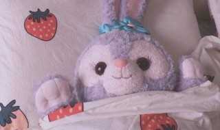 星黛露是什么 星黛露介绍