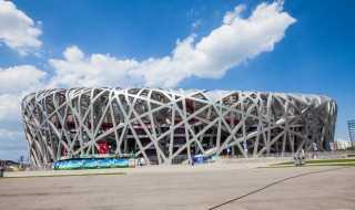 鸟巢简介_鸟巢的介绍(鸟巢简介)