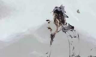 诗人刘禹锡的生平简介说明_刘禹锡生平简介(刘禹锡)