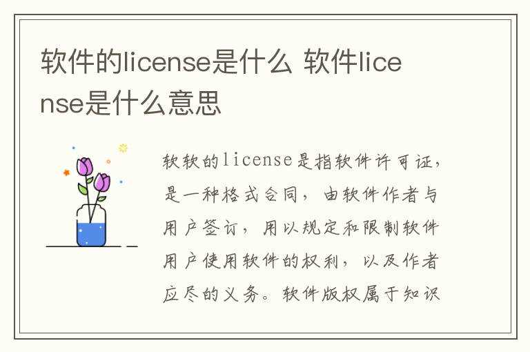 软件license是什么意思?软件的license是什么(license)