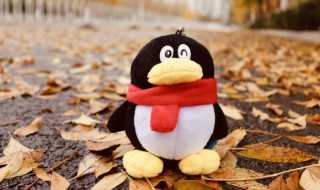 好听的分组名字_好听的分组名(分组名字)