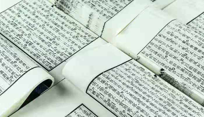 懿这个字的意义_懿字的意思和含义(懿)