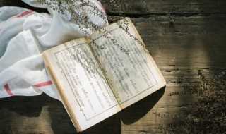 鸢具体是什么意思?鸢是什么意思(鸢)