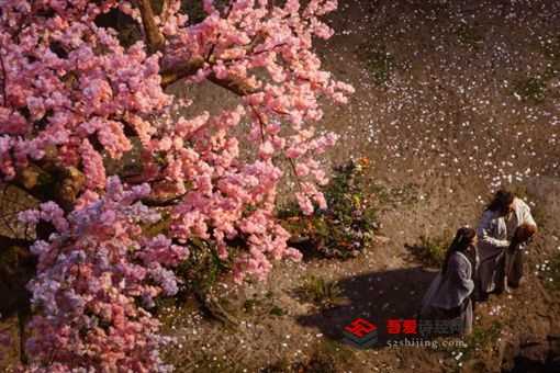 三千鸦杀傅九云身份是什么（三千鸦杀傅九云是处吗?）?(傅九云)