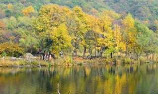 在北京周边有什么好的景点?北京周边景点排名前十(北京周边好玩的地方)