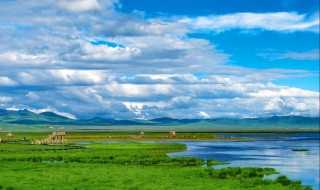 若尔盖大草原旅游攻略（若尔盖大草原旅游路线）(若尔盖大草原)