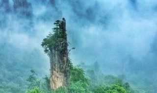 张家界在哪里?张家界在哪个城市哪个省份?(张家界在哪里)