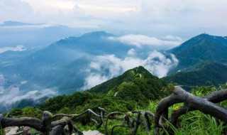 深圳的旅游景点介绍?深圳的旅游景点有哪些地方?(深圳旅游景点)