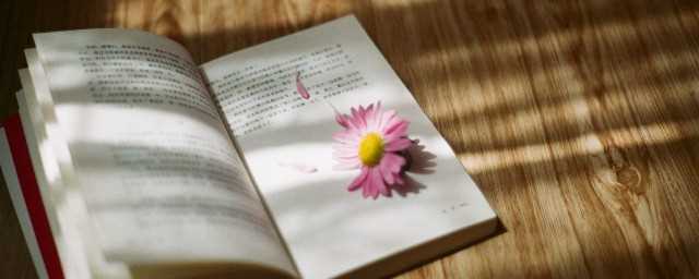 郎的拼音怎么读?郎的拼音读什么