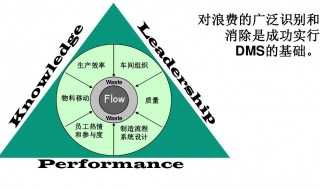 dms介绍?dms是什么意思(dms)