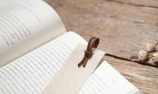 沈石溪的全部作品_沈石溪的所有作品(沈石溪的小说)