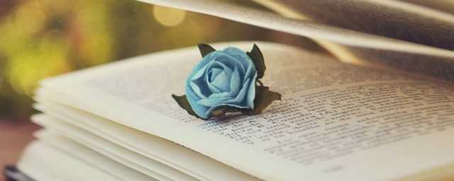 顿的组词语(逐的组词)