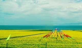 青海湖旅游攻略路线自驾_青海湖旅游攻略路线(青海湖旅游攻略路线)