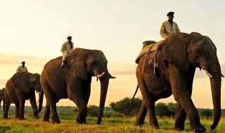 这几个方面要注意?泰国游玩注意事项有哪些?(泰国游注意事项)