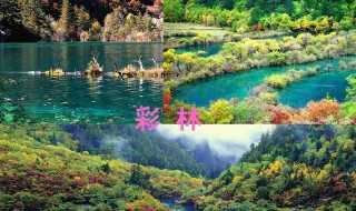 九寨沟介绍_九寨沟简介资料(九寨沟介绍)