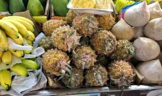 海南有哪些特产?海南的特产是什么(海南特产)